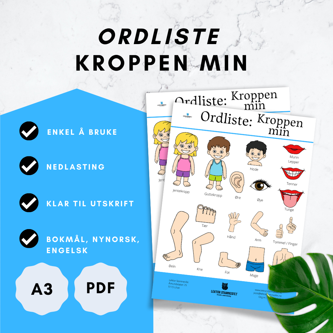 Ordliste: Kroppen  min